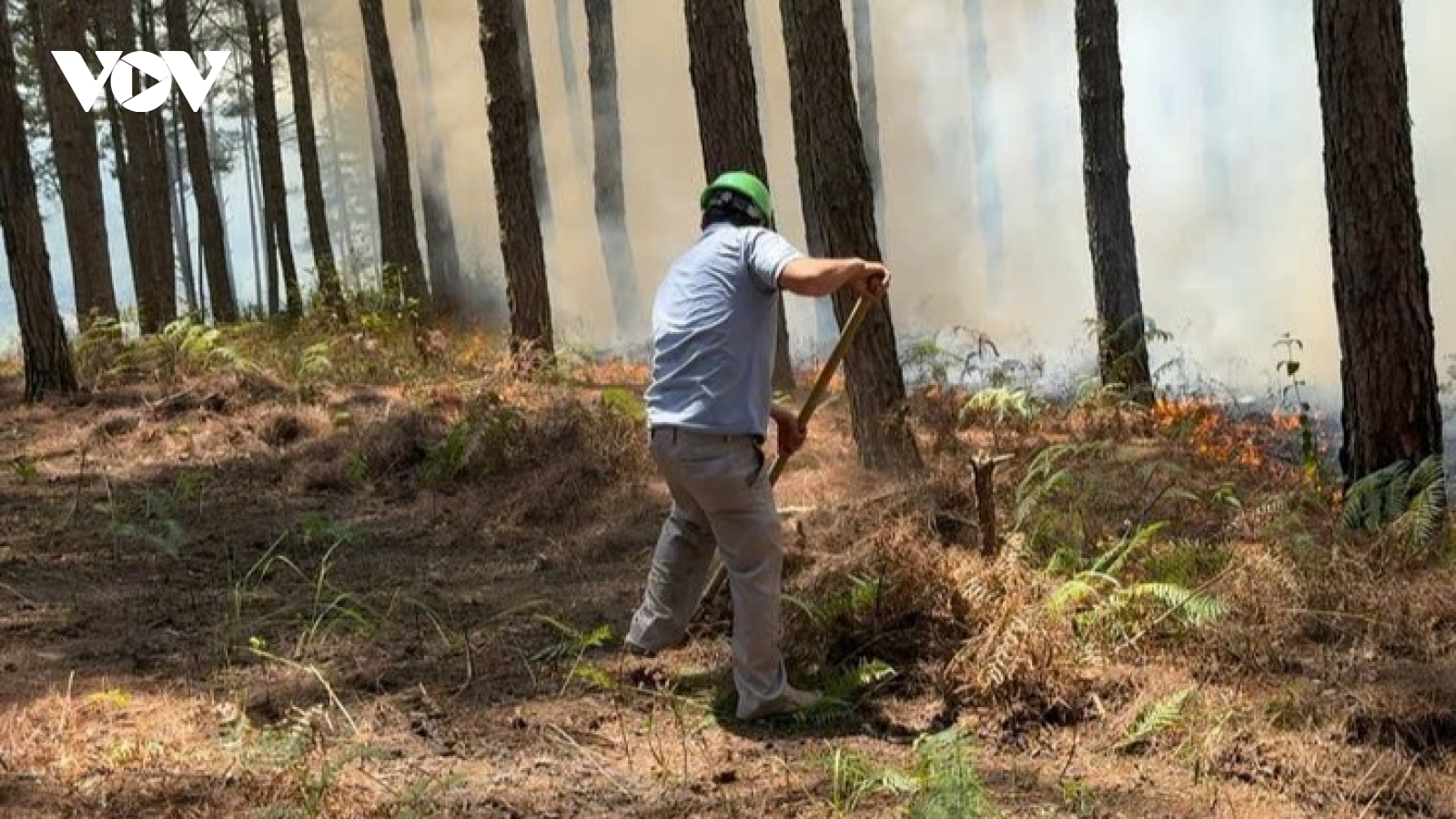 Lâm Đồng đối mặt nguy cơ cháy rừng ở cấp cực kỳ nguy hiểm